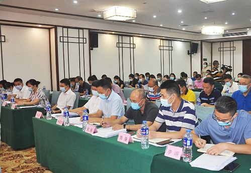 湛江召開全市社保工作會議，聚焦數字化轉型與軟件開發應用